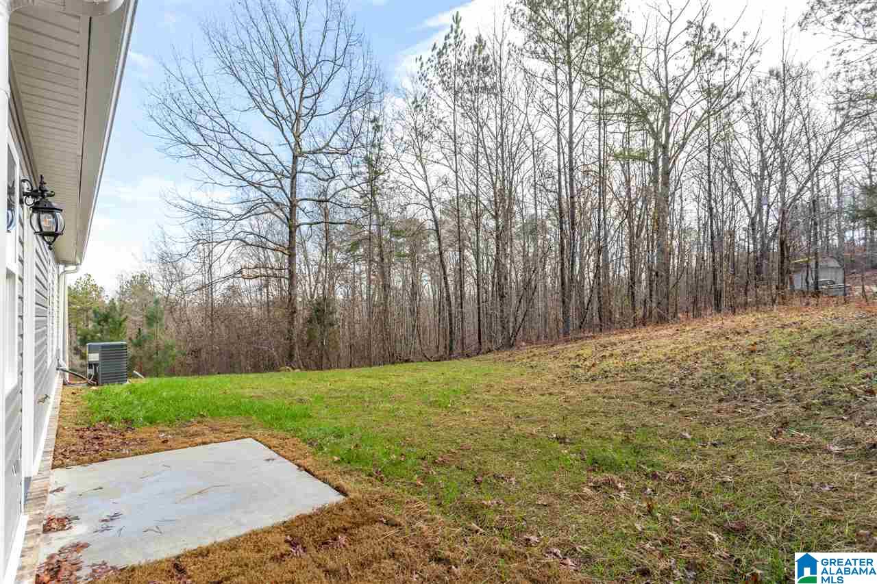 21 Rowland Road Ashville, AL 35953 - Photo 34 of 42