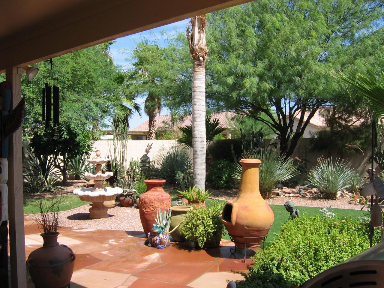 15334 Piccadilly Road Goodyear, AZ 85395 - Photo 5 of 10 backyard 2
