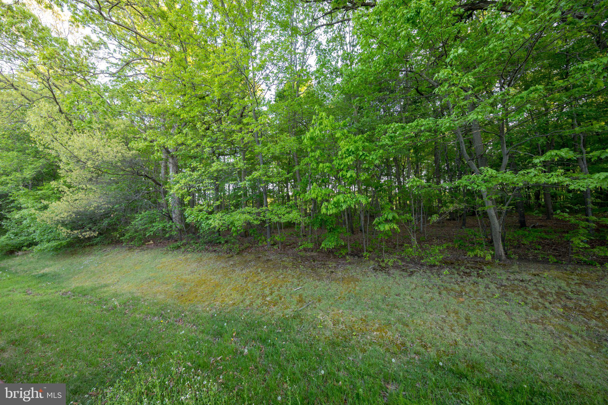 23 Caterham Court Rosedale, MD 21237 - Photo 25 of 27 Lush greenery meets tranquil woods.