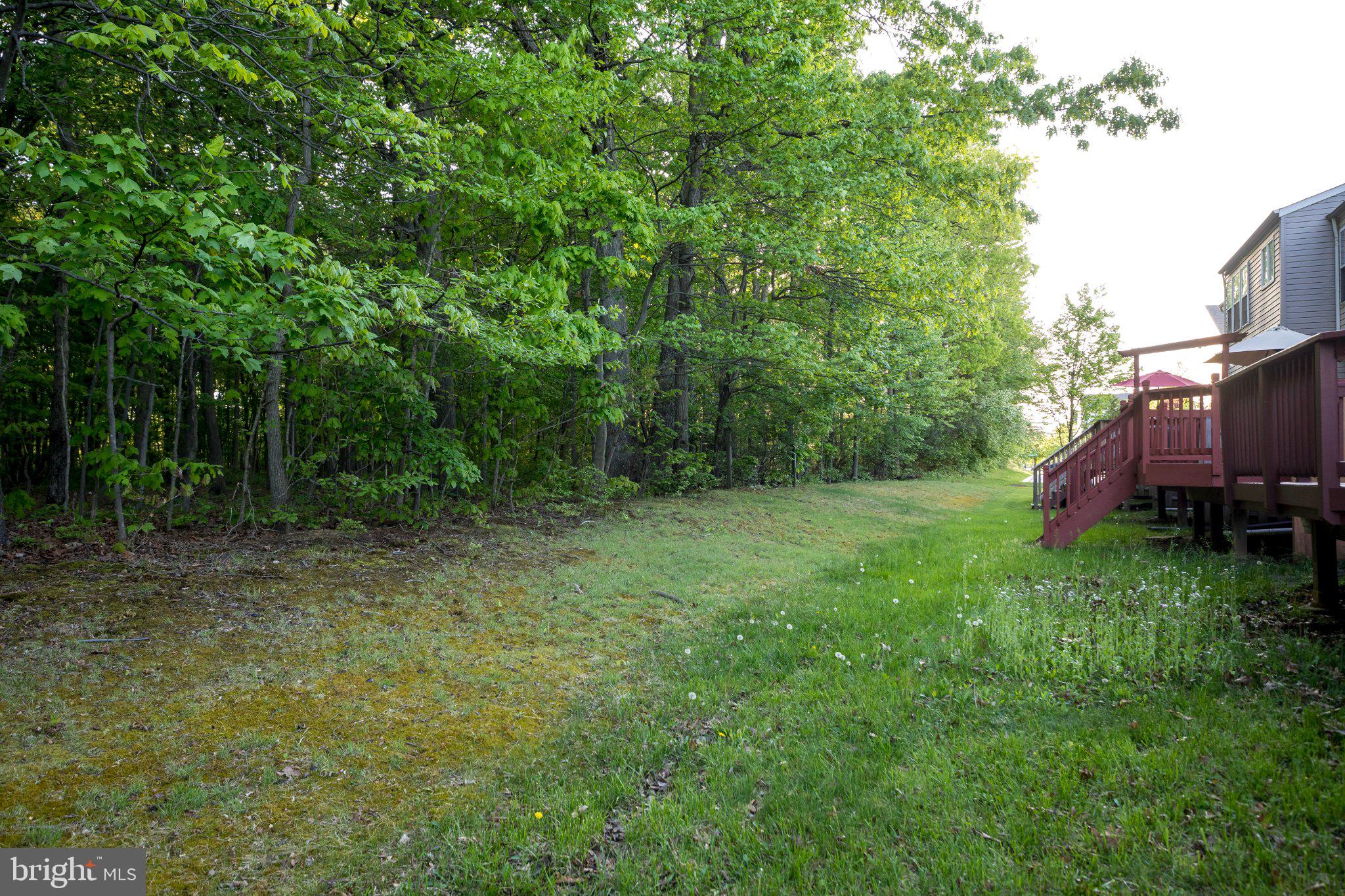 23 Caterham Court Rosedale, MD 21237 - Photo 27 of 27 Serene backyard retreat with greenery.