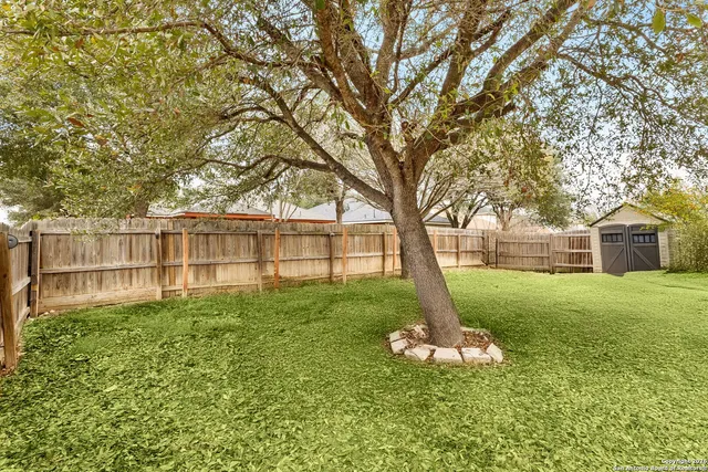 a garden with lots of trees