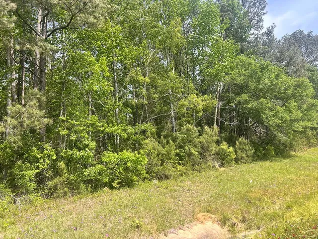 $42,500 | 44e Mccomb Ms 39648, Summit, MS 39666