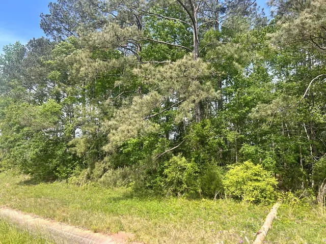 $42,500 | 44e Mccomb Ms 39648, Summit, MS 39666