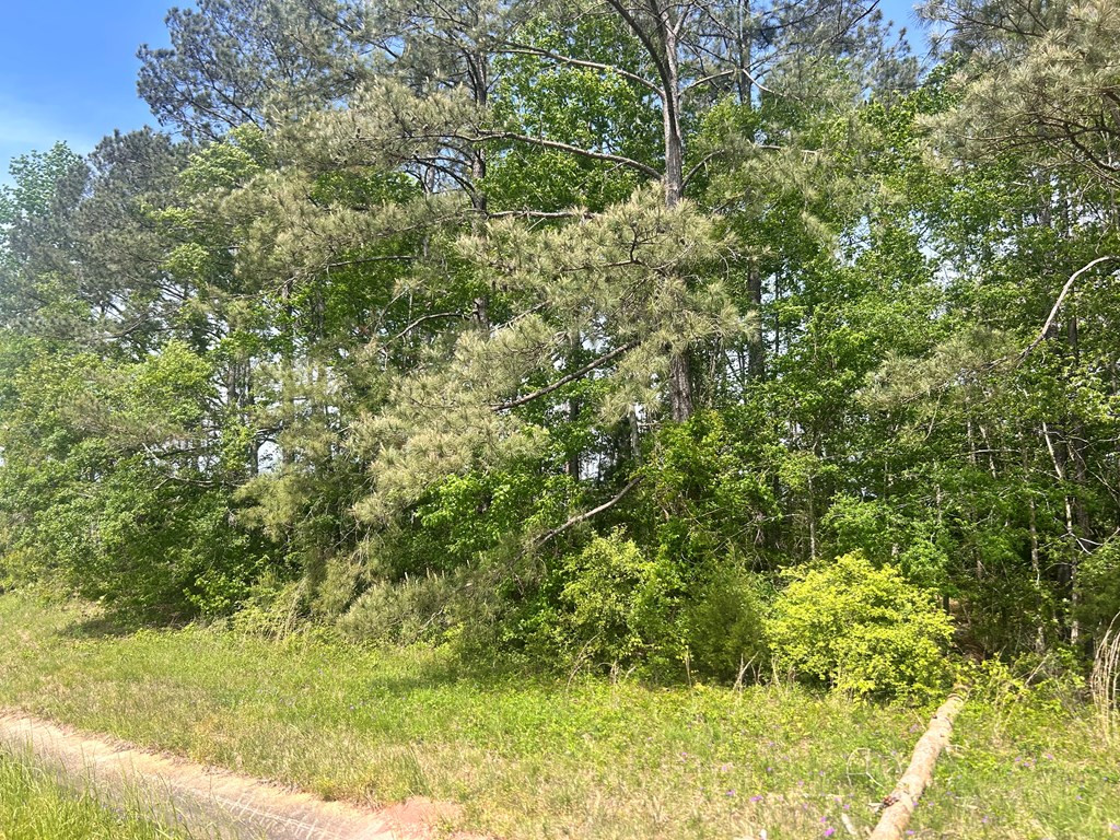 44e Mccomb Ms 39648 Summit, MS 39666 - Photo 2 of 3 Photo 2