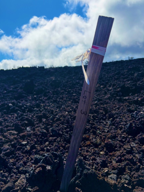 3 Lot Ocean View Ocean View, HI 96704 - Photo 3 of 9