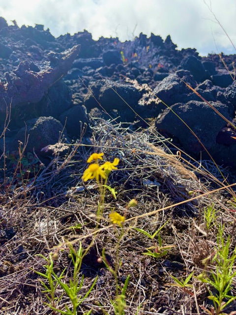 3 Lot Ocean View Ocean View, HI 96704 - Photo 7 of 9