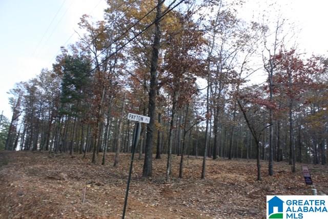 Peyton Place, Unit 3 Weaver, AL 36277 - Photo 39 of 40