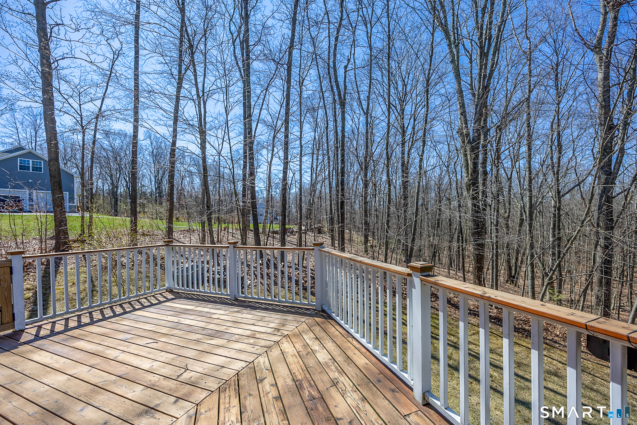 51 Louis Road Middlefield, CT 06455 - Photo 36 of 39
