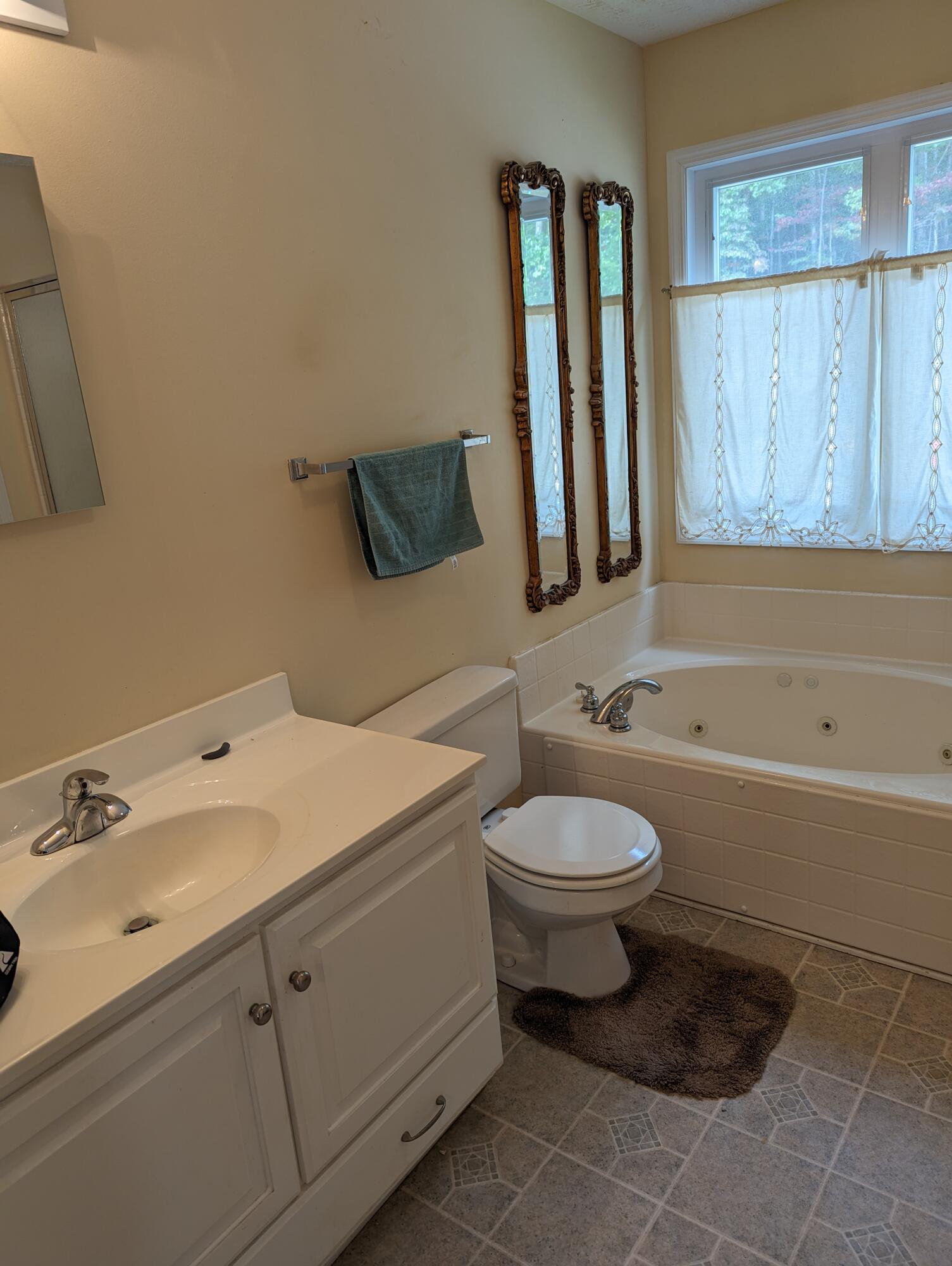 4715 Providence Church Road Ferrum, VA 24088 - Photo 18 of 46 a bathroom with a toilet sink and mirror