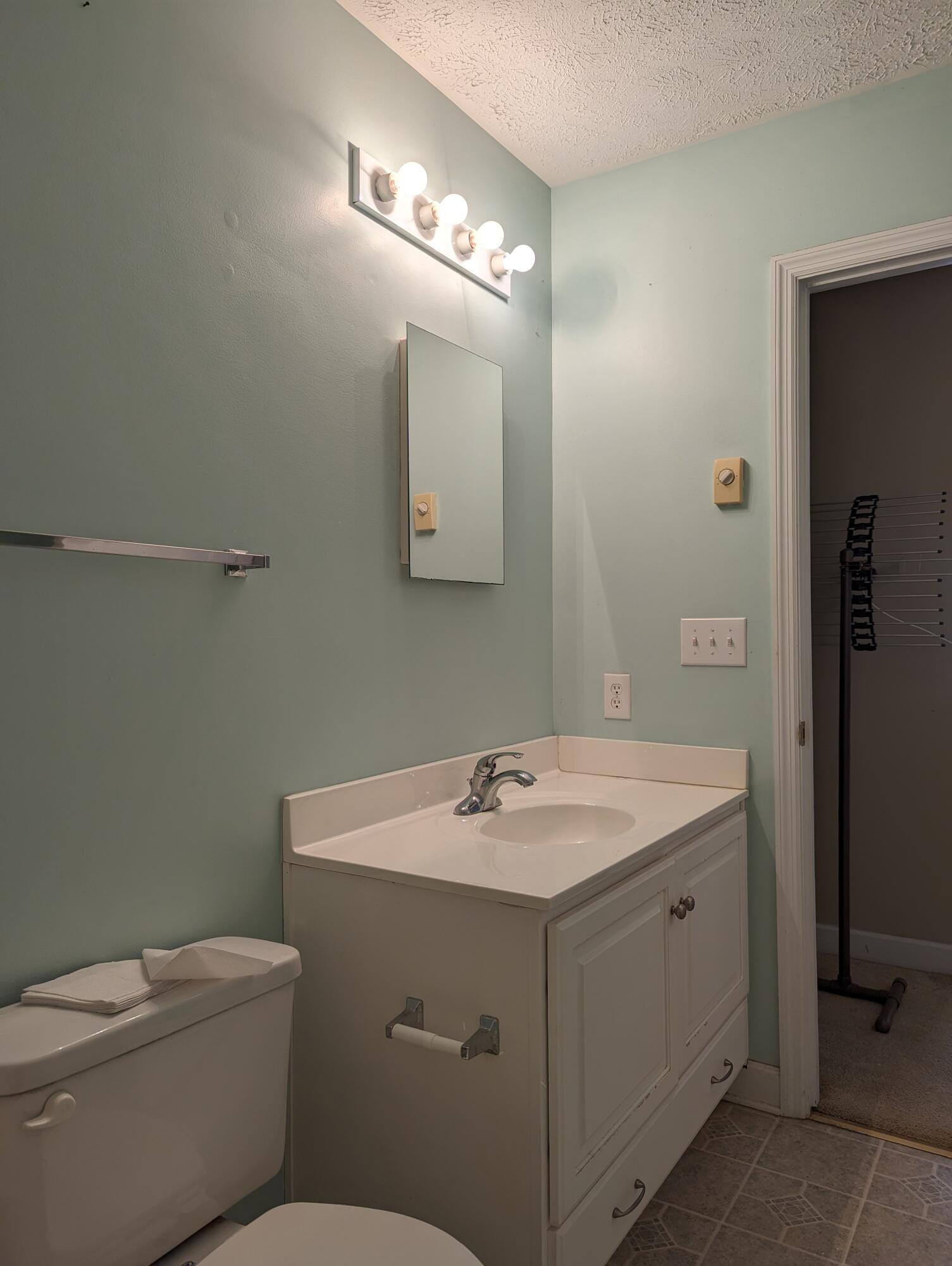 4715 Providence Church Road Ferrum, VA 24088 - Photo 27 of 46 a bathroom with a sink a toilet and mirror