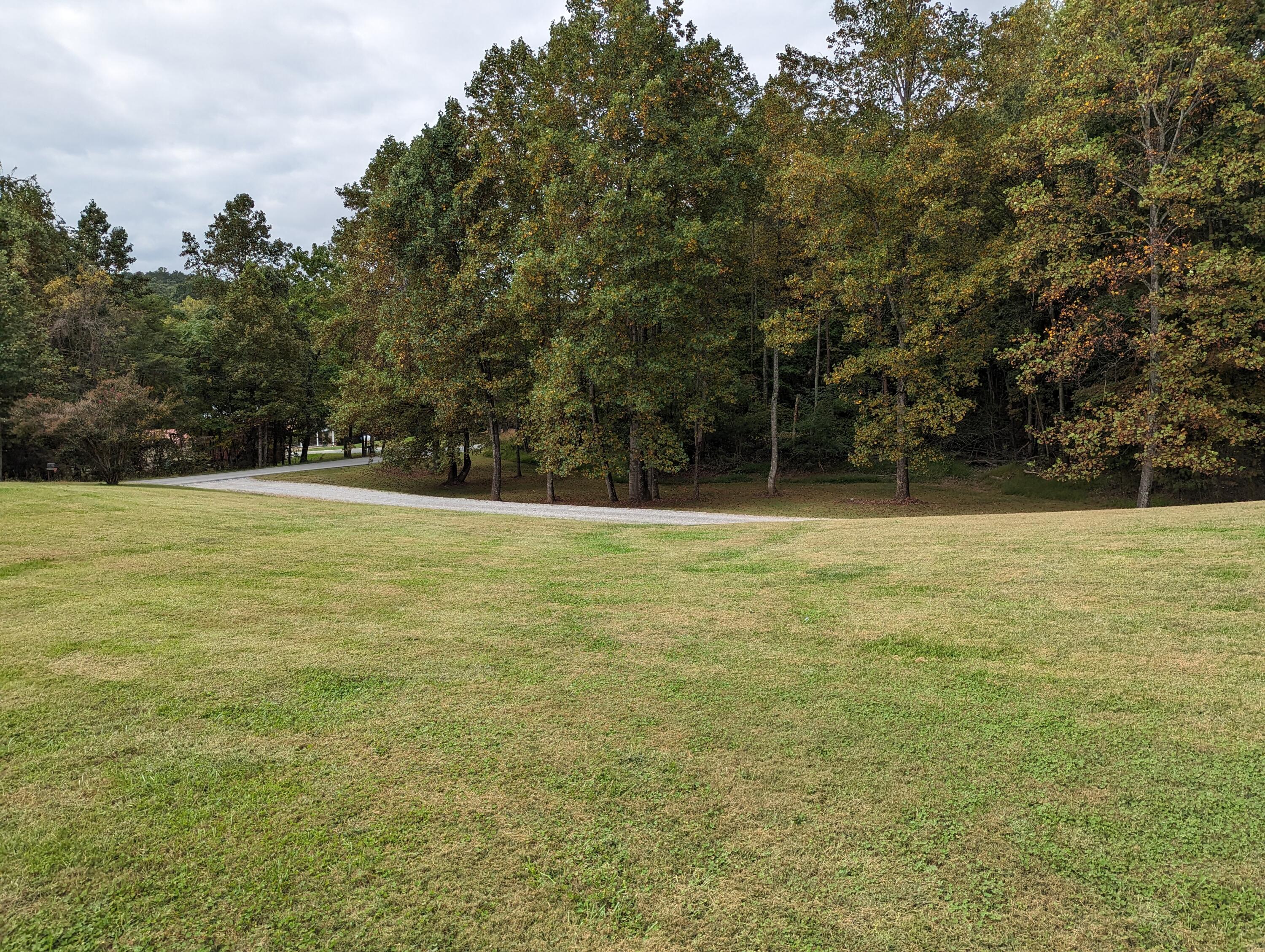 4715 Providence Church Road Ferrum, VA 24088 - Photo 40 of 46 a view of outdoor space with swimming pool and trees