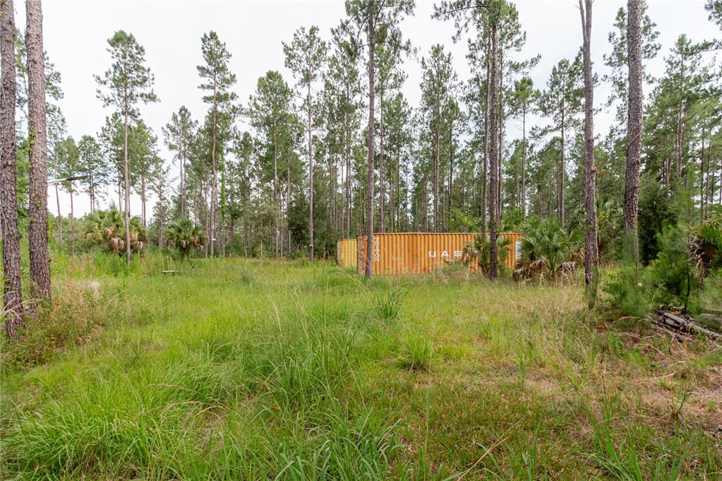 Northeast 90th Street Road Fort McCoy, FL 32134 - Photo 18 of 25