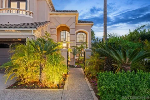 a view of a street with a palm tree