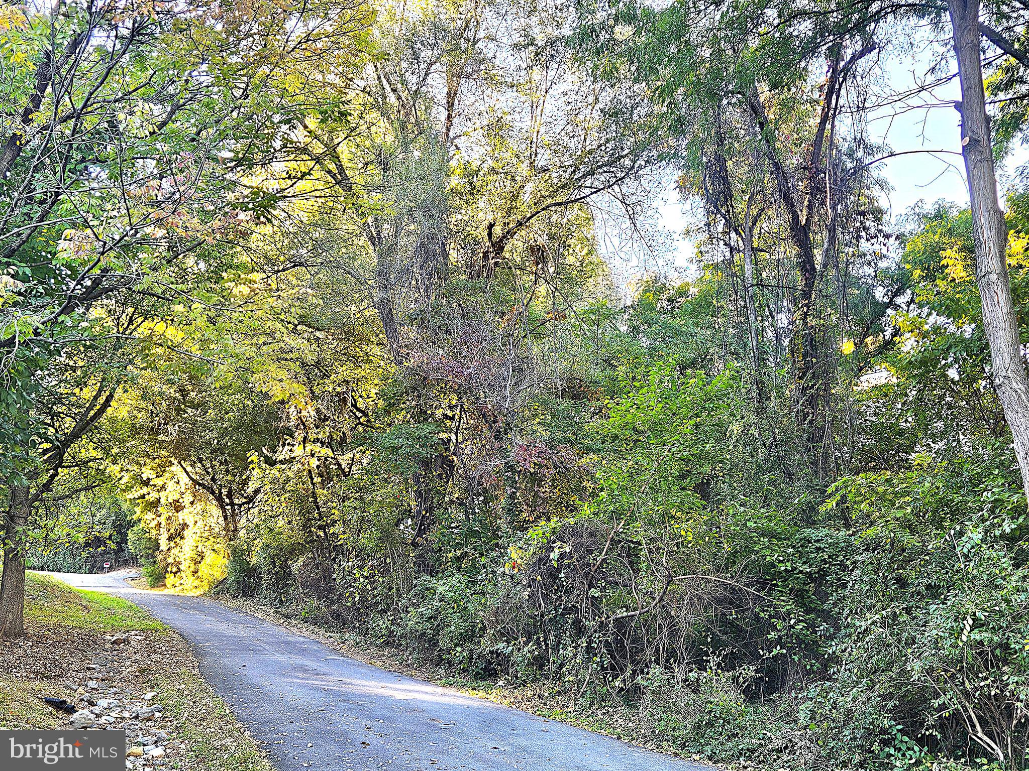 102 Ridge Court Winchester, VA 22603 - Photo 30 of 30