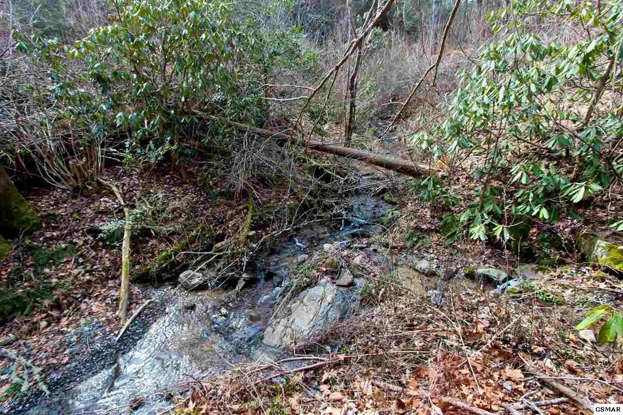 1 Reece Hollow Road Del Rio, TN 37727 - Photo 17 of 32 Gallery Image 17
