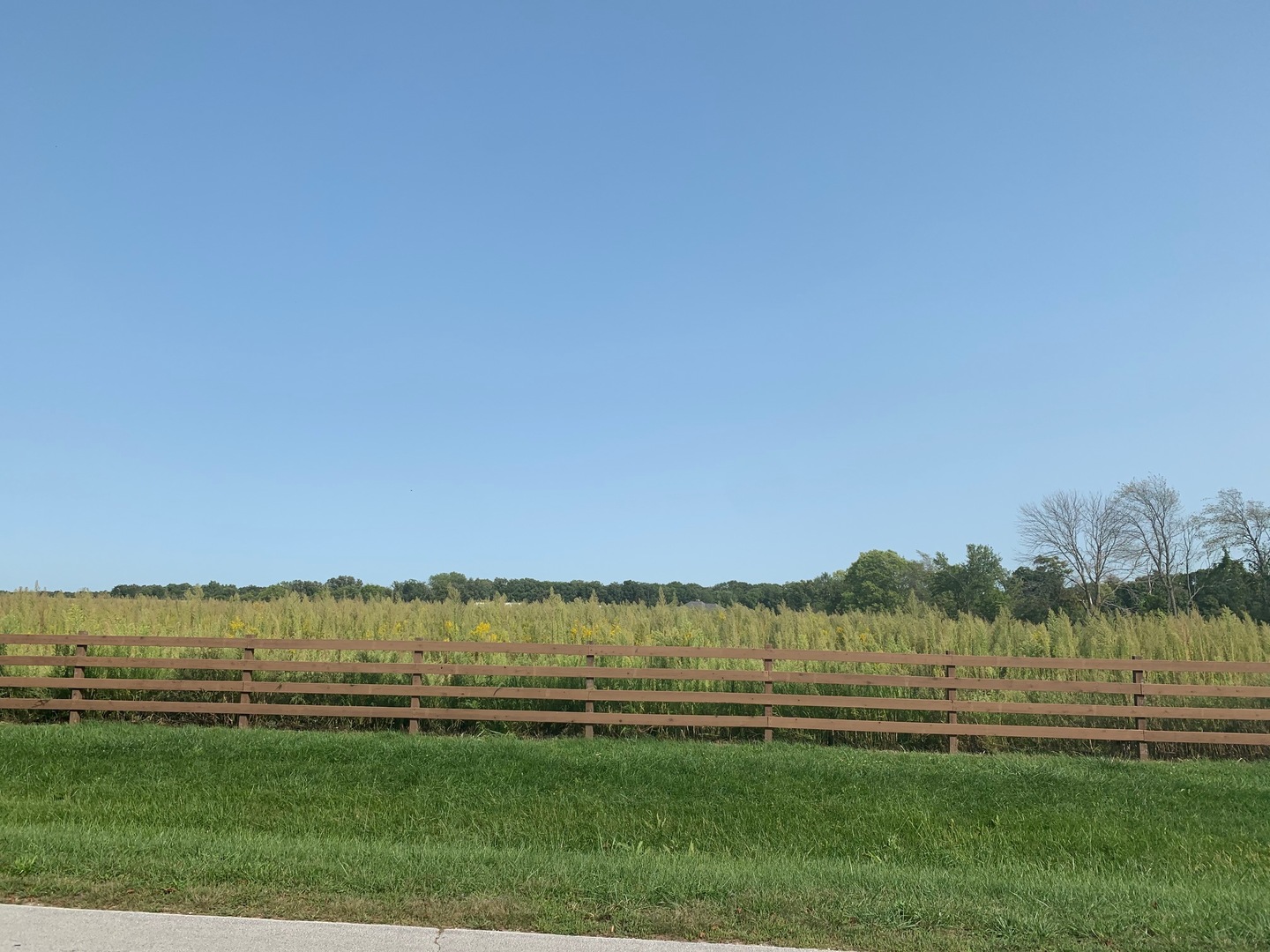 2408 East 28th Road Marseilles, IL 61341 - Photo 1 of 4 a view of a lake from a yard