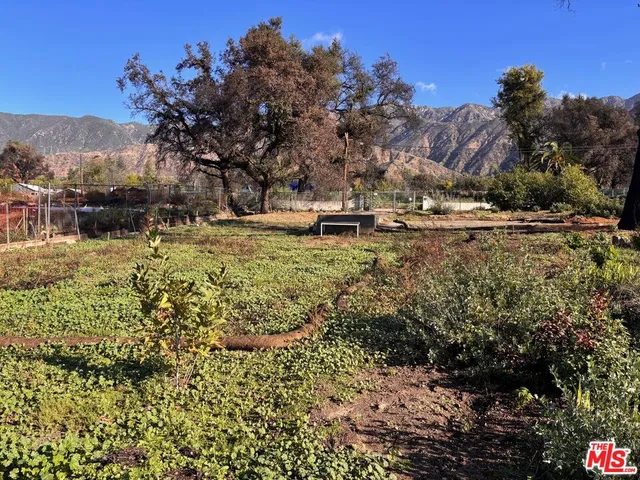 a view of a yard with mountain