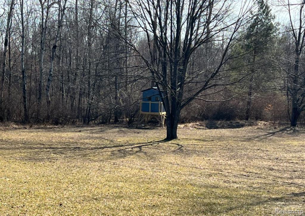 7368 Clear Lake Road Imlay City, MI 48444 - Photo 4 of 17