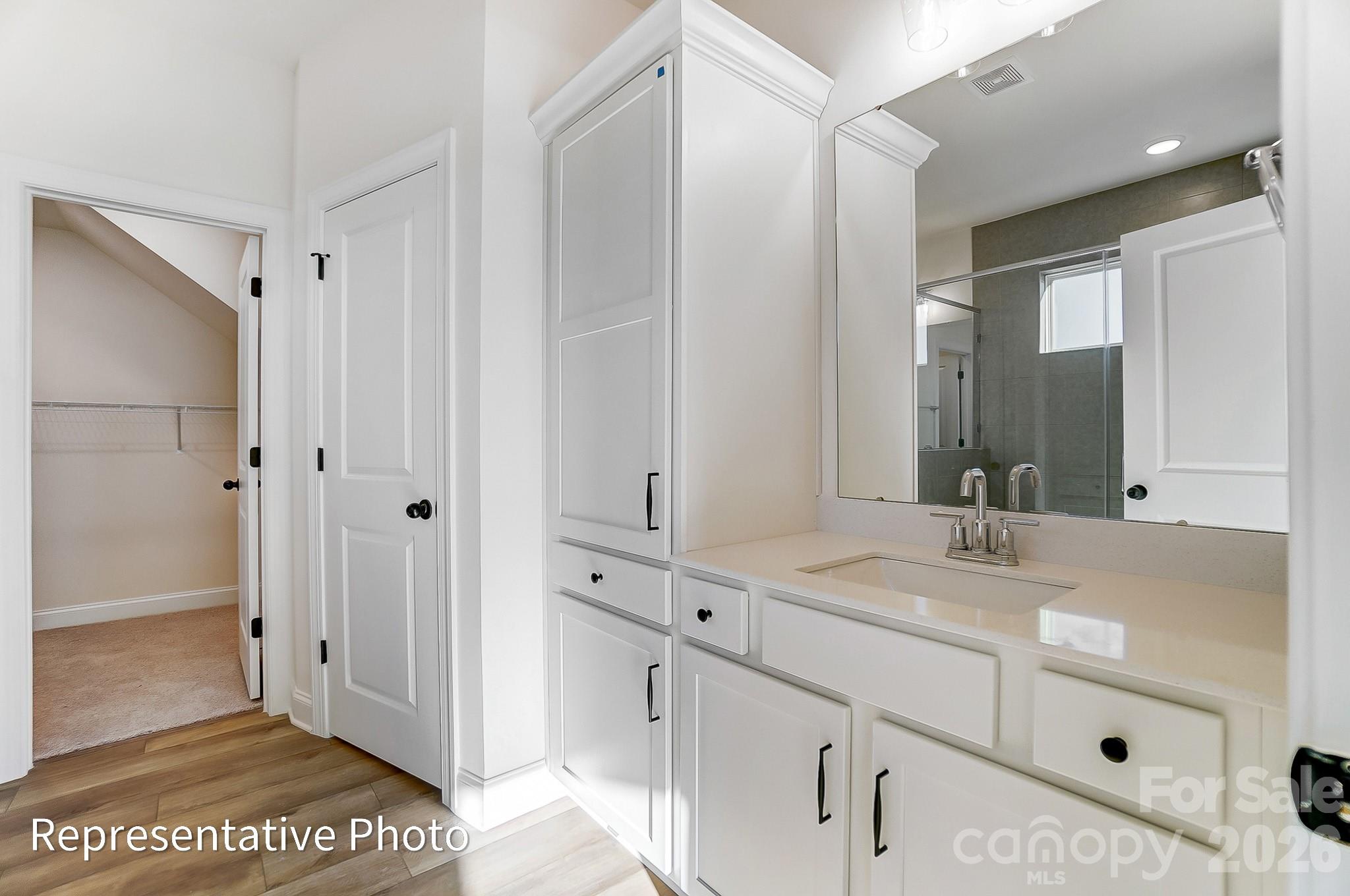 5009 Raging Crk Drive Indian Trail, NC 28079 - Photo 12 of 39 a bathroom with a sink and a mirror
