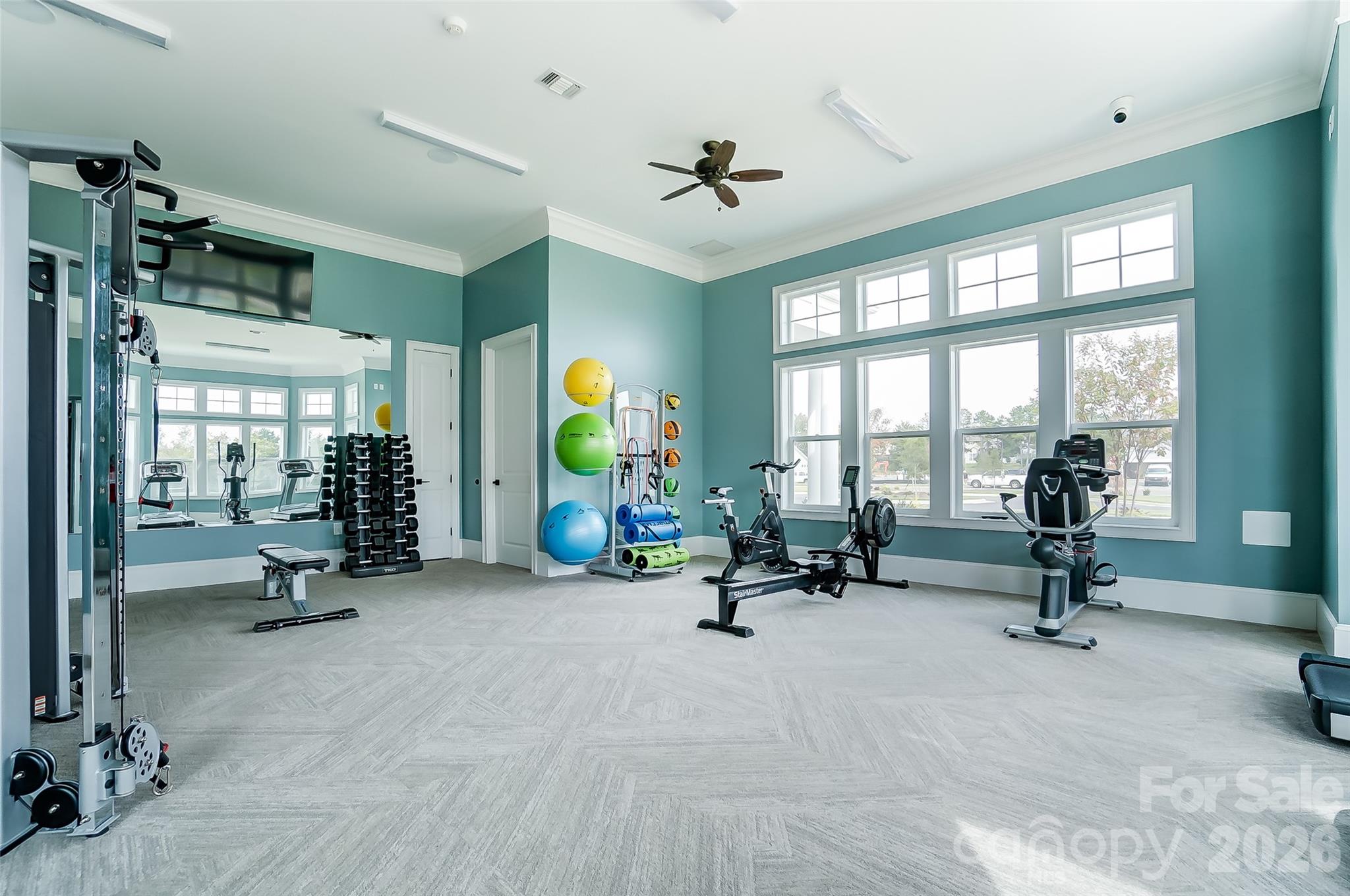 5009 Raging Crk Drive Indian Trail, NC 28079 - Photo 37 of 39 a view of a room with gym equipment