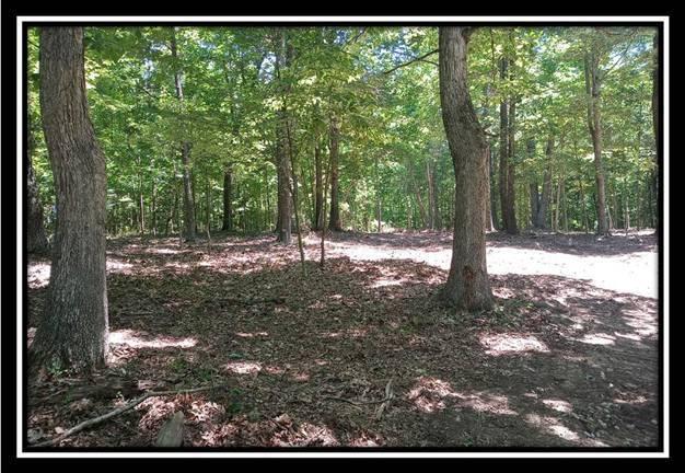 3110 Alice Road Vinton, OH 45686 - Photo 7 of 21
