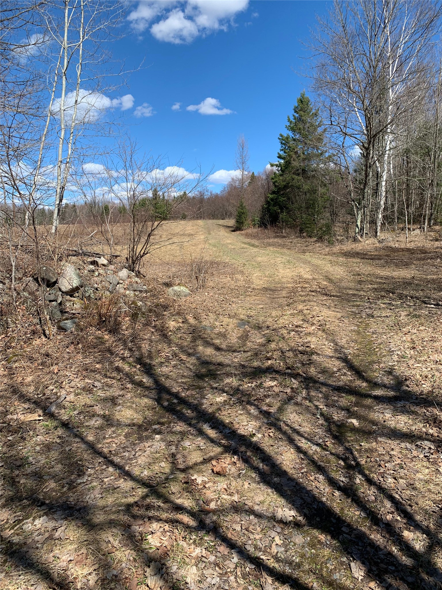 80-acres 80-acres Off South Park Road Butternut, WI 54514 - Photo 24 of 44