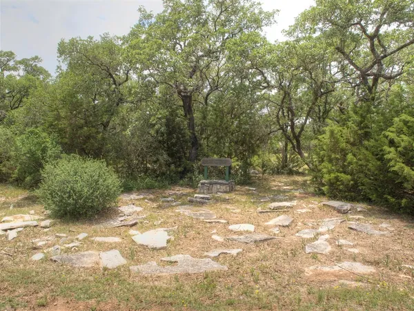 a view of a yard with a tree