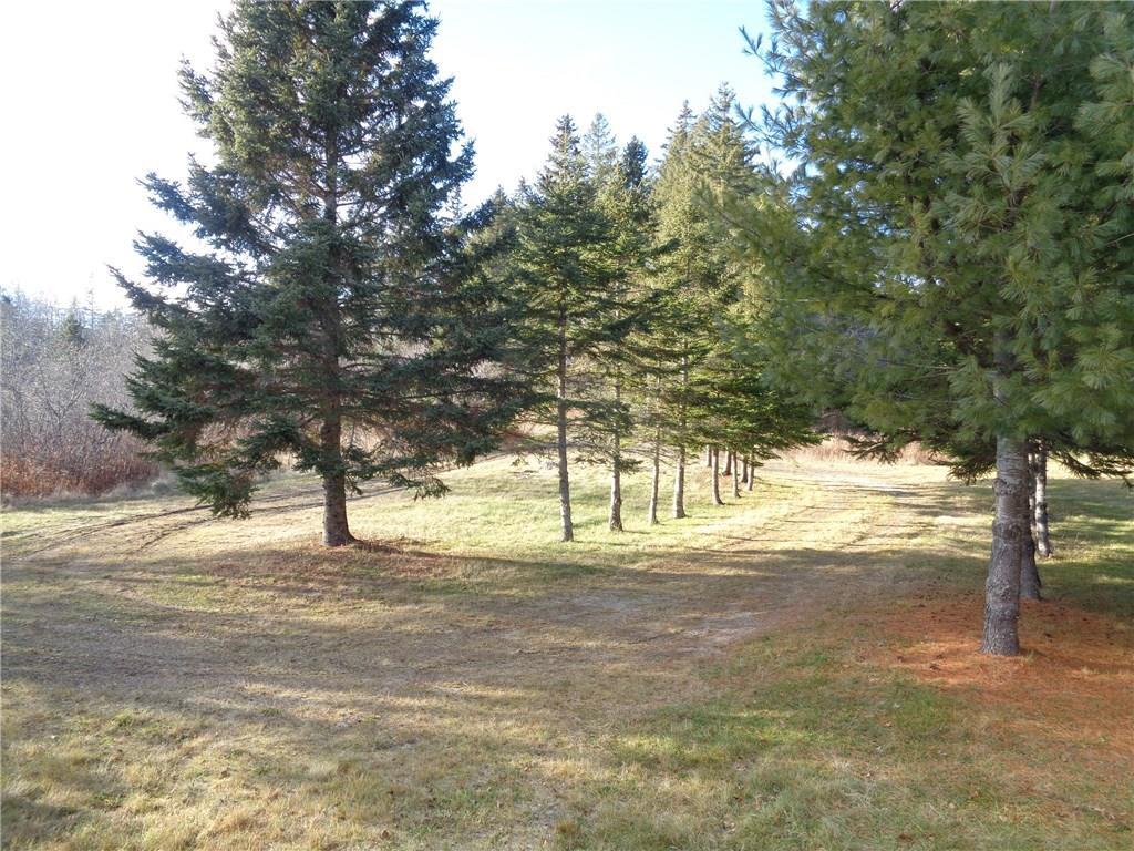 Evergreen trees line the driveway