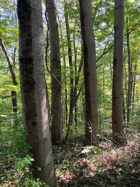 3228 Chillicothe Lancaster Road Southwest Lancaster, OH 43130 - Photo 2 of 6 400 acre surround