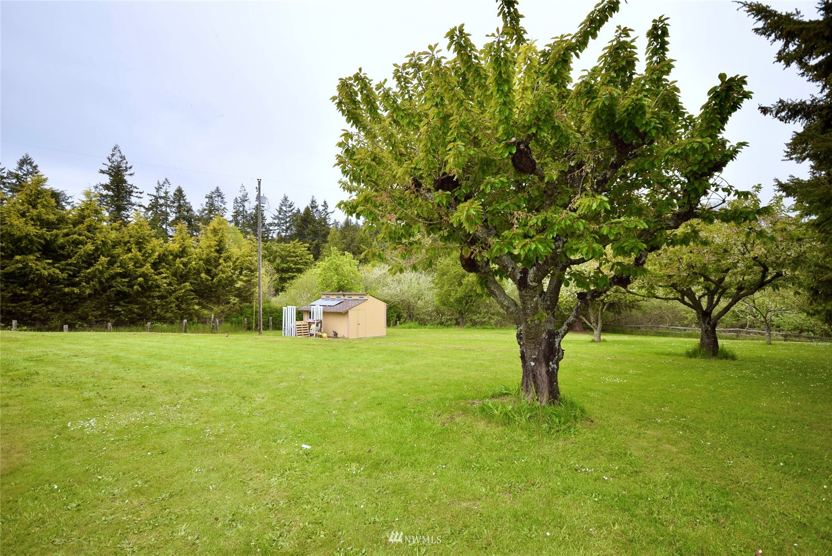 21 Clary Lane Sequim, WA 98382 - Photo 20 of 29 a view of a field with trees in the background