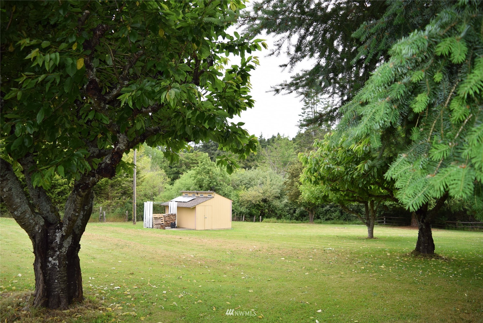 21 Clary Lane Sequim, WA 98382 - Photo 21 of 29 a big yard with lots of green space and plants