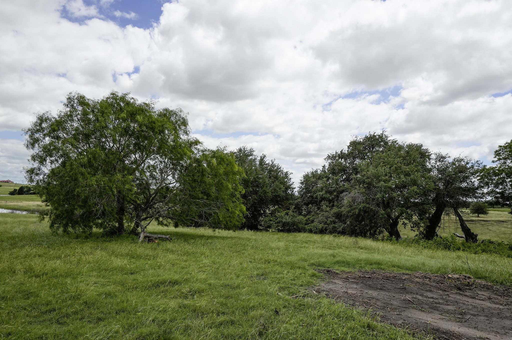 1432 South Knezek Road Flatonia, TX 78941 - Photo 6 of 16