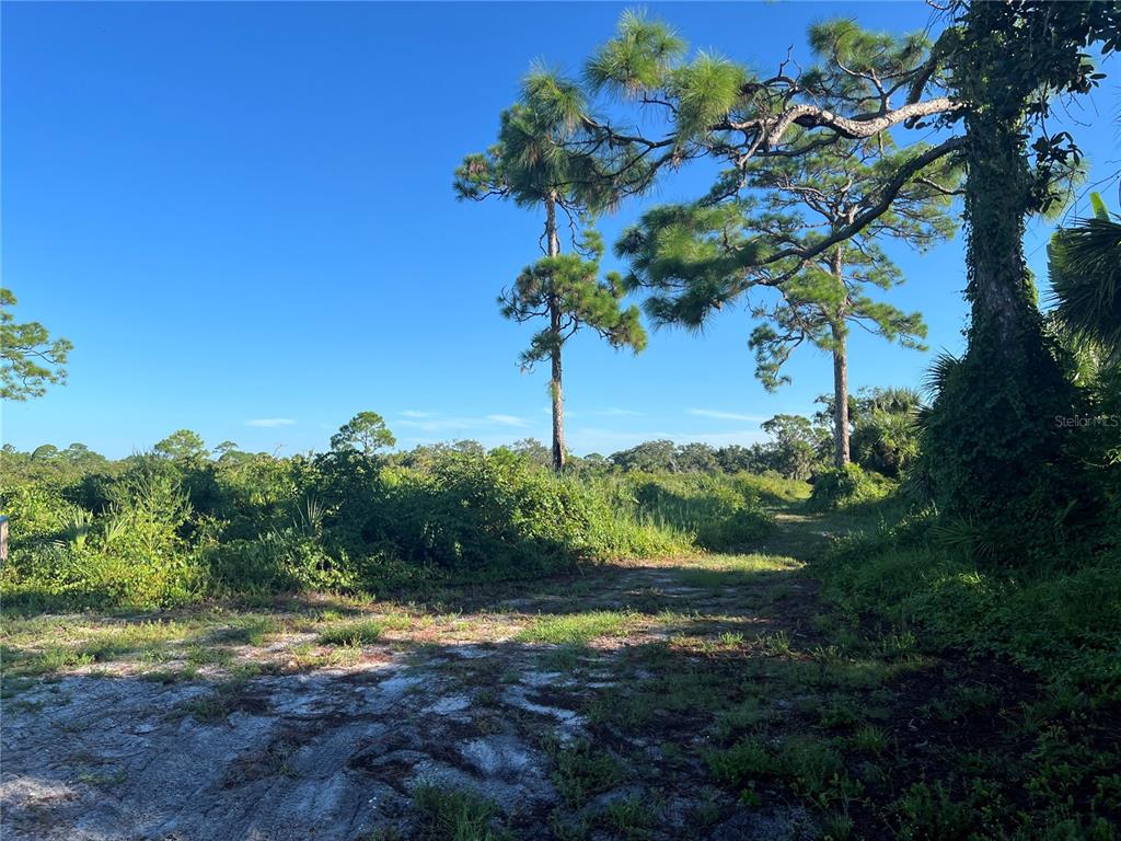 Euclid Road Venice, FL 34293 - Photo 13 of 16