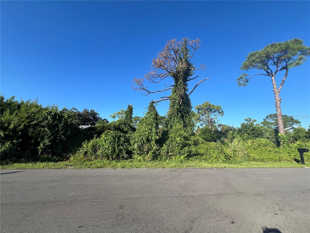 Euclid Road Venice, FL 34293 - Photo 6 of 16