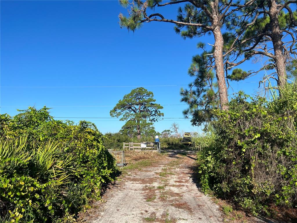 Euclid Road Venice, FL 34293 - Photo 8 of 16