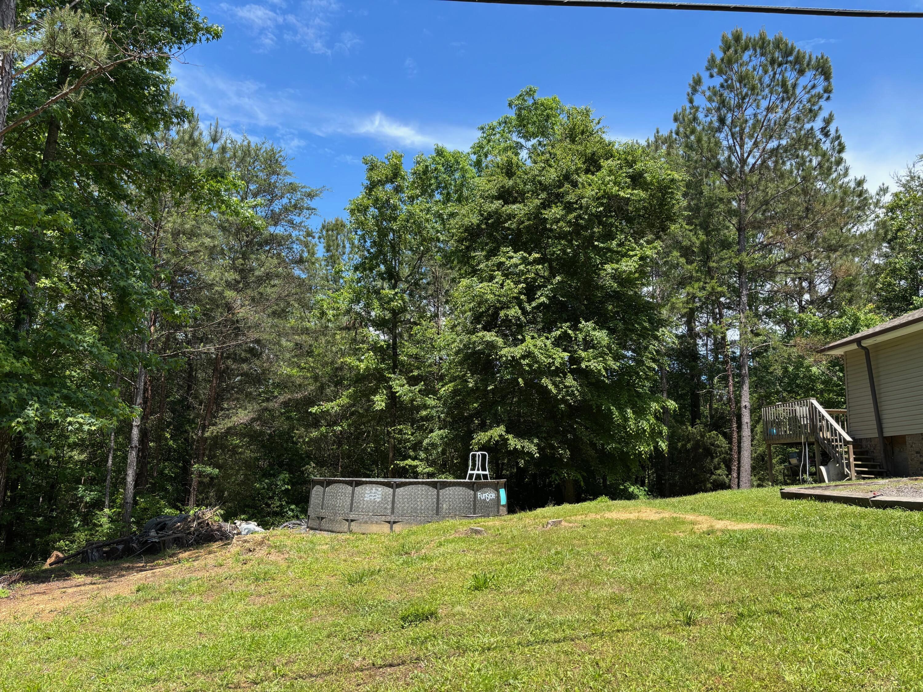 290 Rivers Edge Trail Cordova, AL 35550 - Photo 6 of 7 side yard
