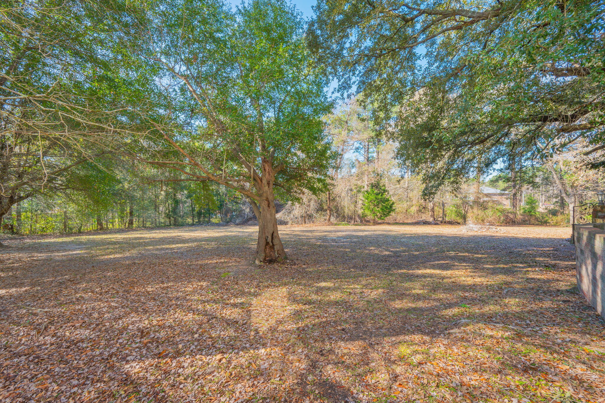 5644 Old Bethel Road Crestview, FL 32536 - Photo 50 of 55 a view of a tree in the middle of a yard
