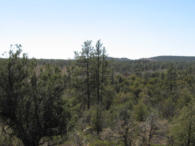 Lot 6 B Valley Road, Unit 6B Payson, AZ 85541 - Photo 3 of 10 Photo 3