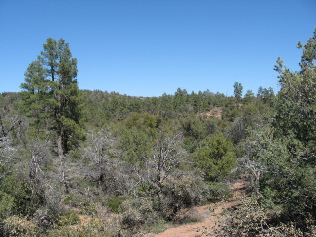Lot 6 B Valley Road, Unit 6B Payson, AZ 85541 - Photo 5 of 10 Photo 5