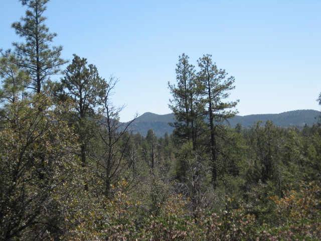 Lot 6 B Valley Road, Unit 6B Payson, AZ 85541 - Photo 8 of 10 Photo 8