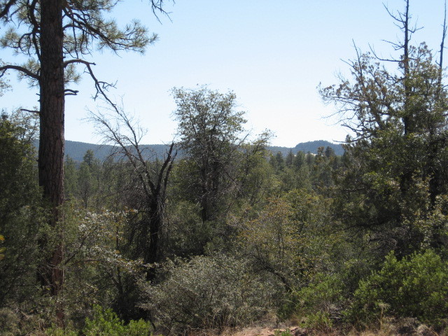 Lot 6 B Valley Road, Unit 6B Payson, AZ 85541 - Photo 9 of 10 Photo 9