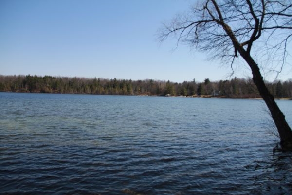 6549 Betsie River Road Interlochen, MI 49643 - Photo 28 of 32 1811772-27.JPG
