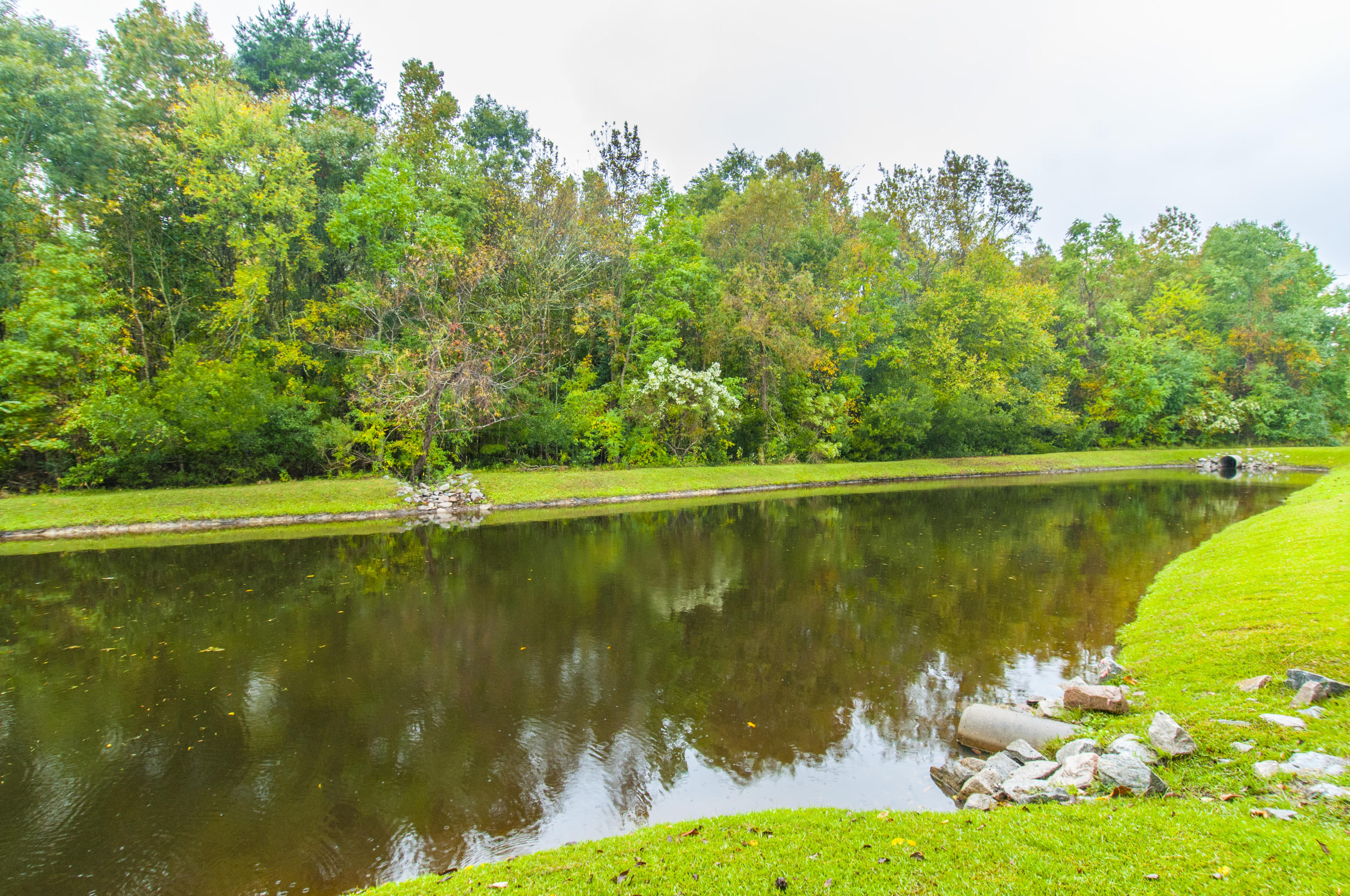 7081 Windmill Creek Road Charleston, SC 29414 - Photo 22 of 25 _DSC7781