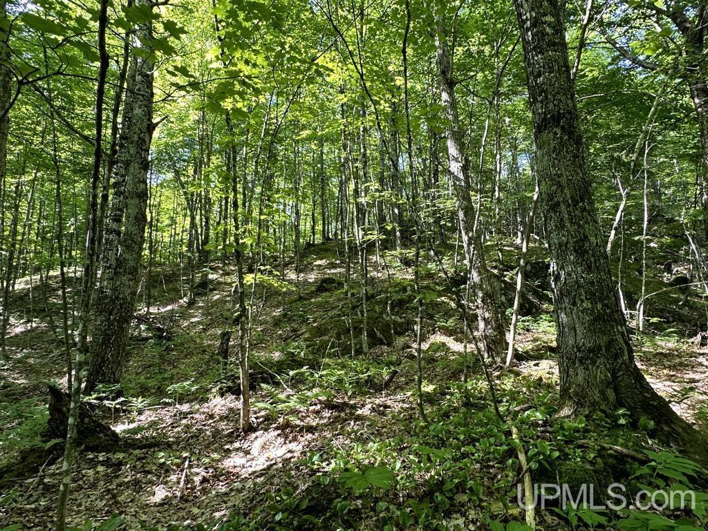 0 County Road 553 Road Marquette, MI 49855 - Photo 25 of 38