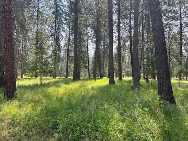 $54,500 | 203 Eagle Drive, Chewelah, WA 99109