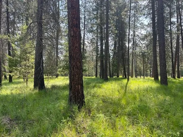$54,500 | 203 Eagle Drive, Chewelah, WA 99109