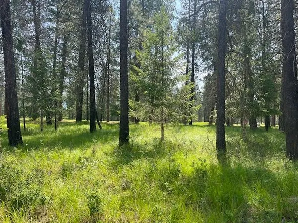 $54,500 | 203 Eagle Drive, Chewelah, WA 99109