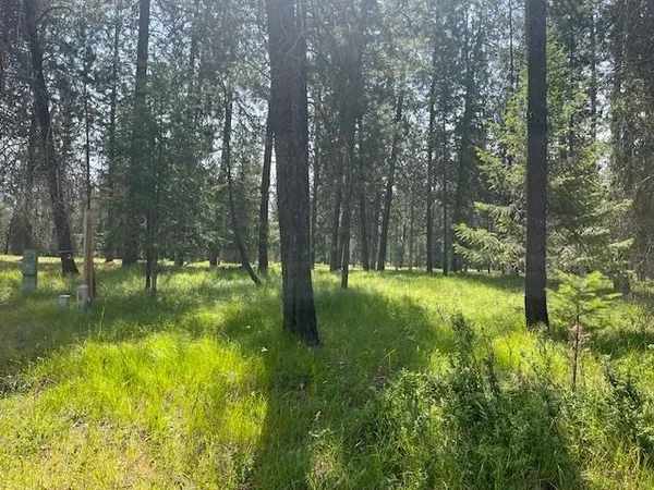 $54,500 | 203 Eagle Drive, Chewelah, WA 99109