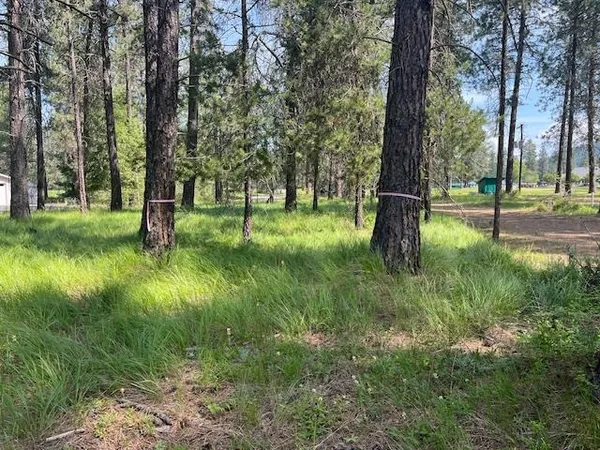 $54,500 | 203 Eagle Drive, Chewelah, WA 99109