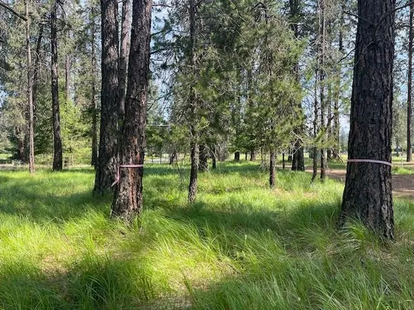 $54,500 | 203 Eagle Drive, Chewelah, WA 99109